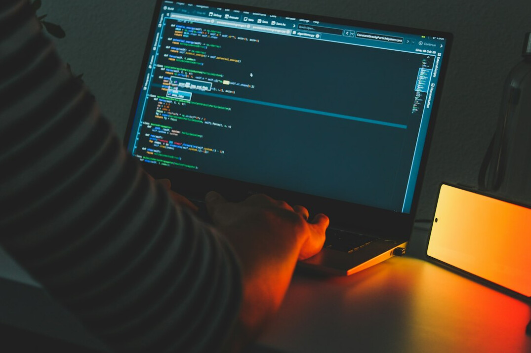 professional programmer at work